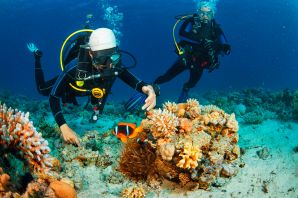 Boat Dive